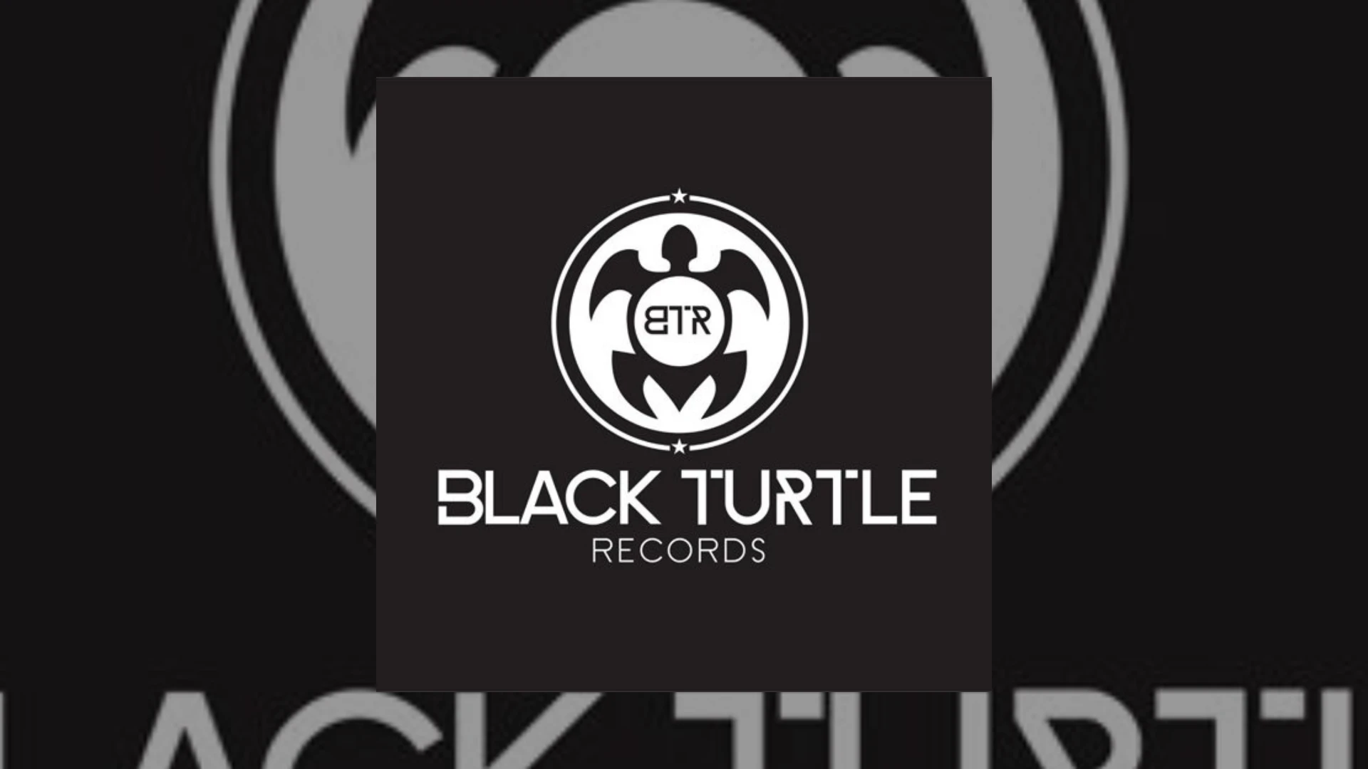 Black Turtle Records Demo Submission | Contacts, A&R & Label Guide