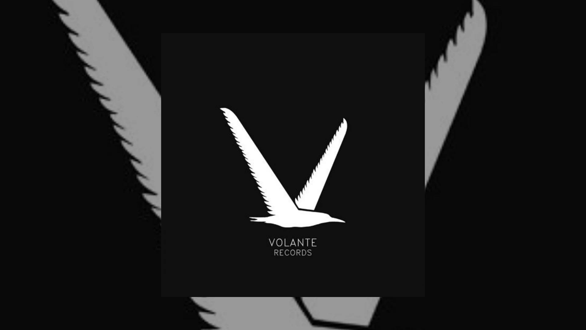 Volante Records Demo Submission | Contacts, A&R & Label Guide