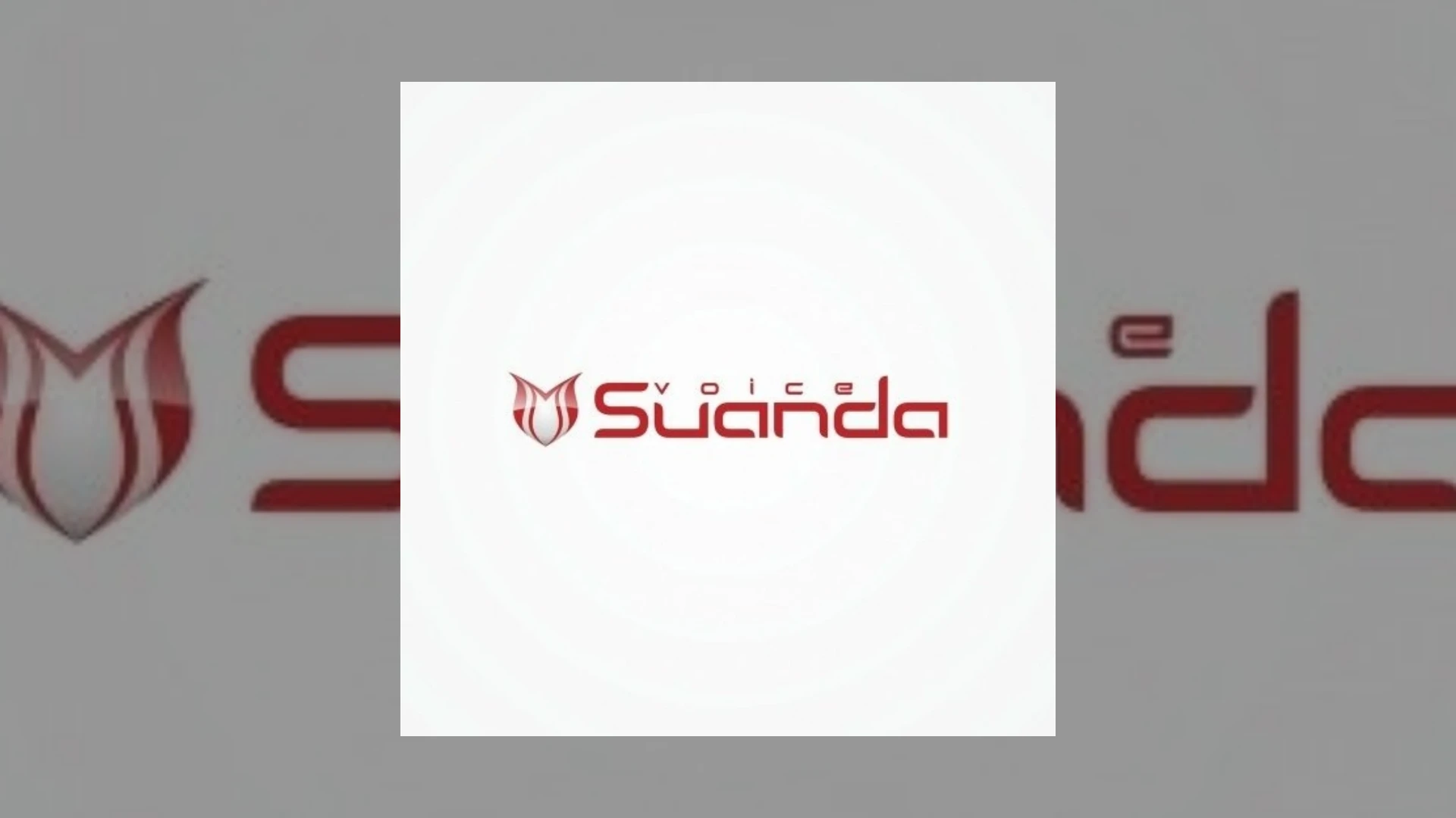 Suanda Voice Demo Submission | Contacts, A&R & Label Guide