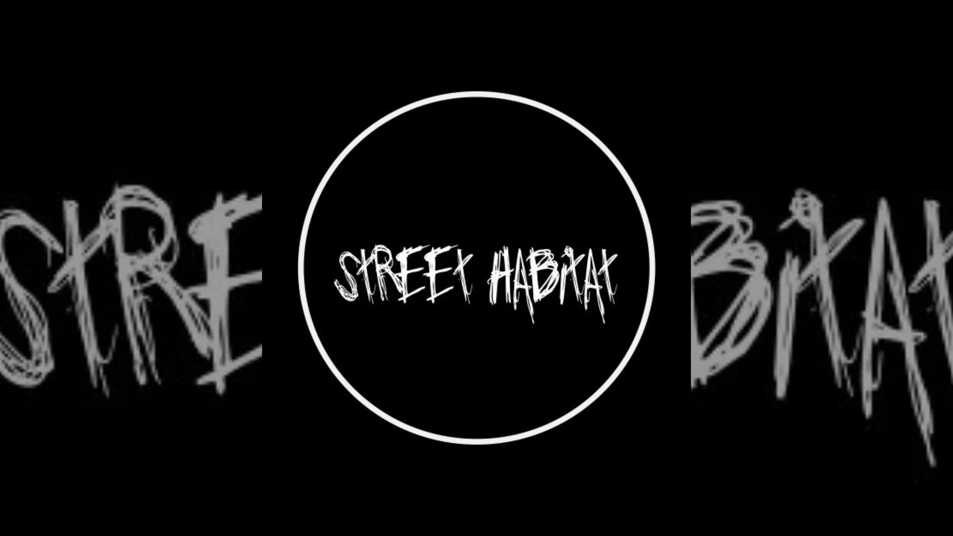 Street Habitat Demo Submission | Contacts, A&R & Label Guide