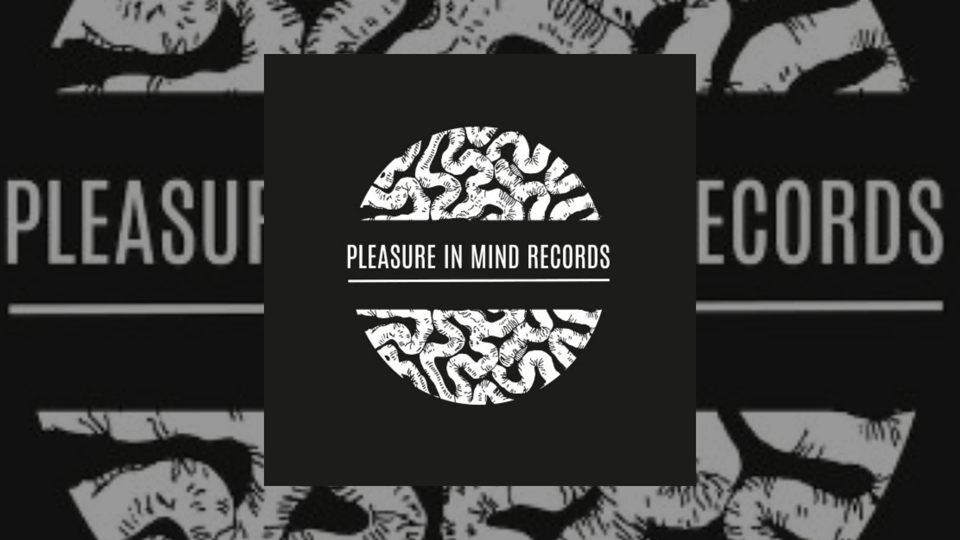 Pleasure In Mind Records Demo Submission | Contacts, A&R & Label Guide