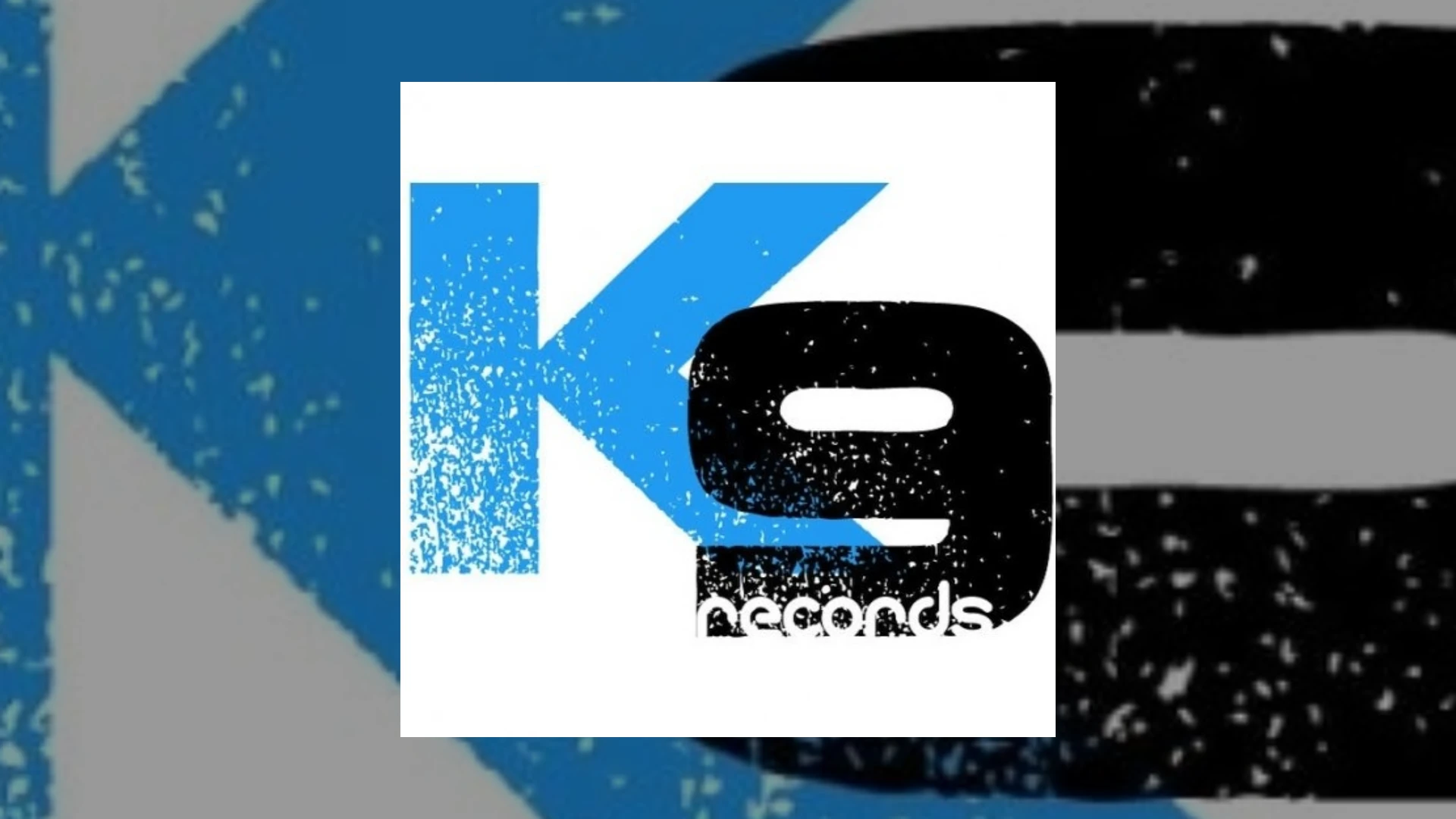 k9 records