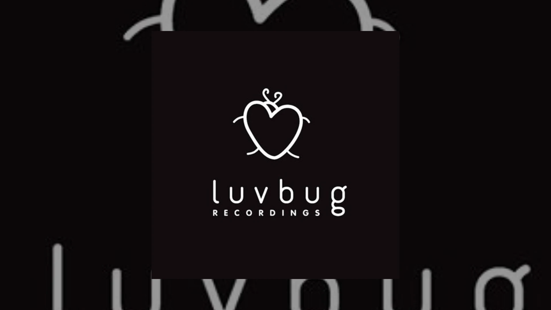 luvbug recordings