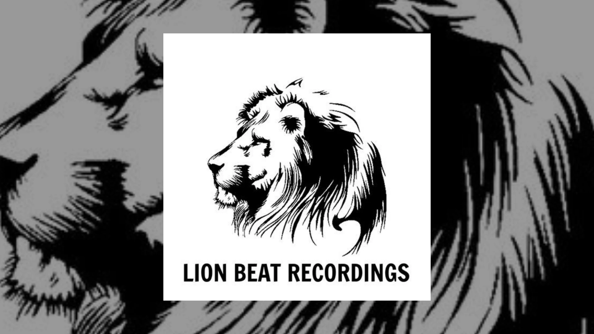 Lion Beat Recordings Demo Submission | Contacts, A&R & Label Guide