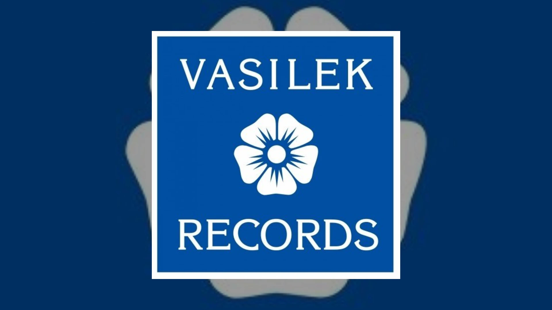 vasilek records