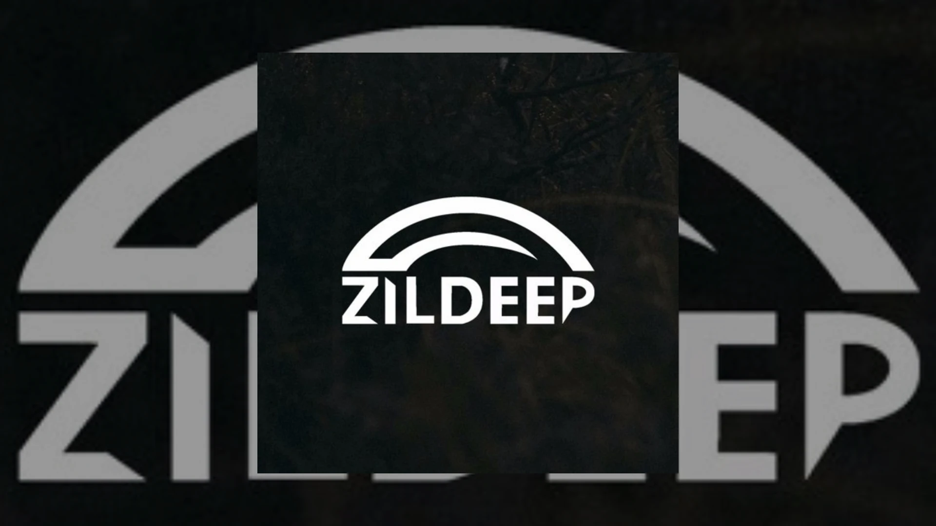 ZilDeep Records Demo Submission | Contacts, A&R & Label Guide