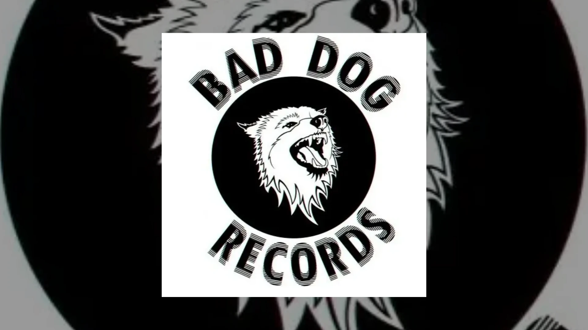 Bad Dog Records Demo Submission | Contacts, A&R & Label Guide
