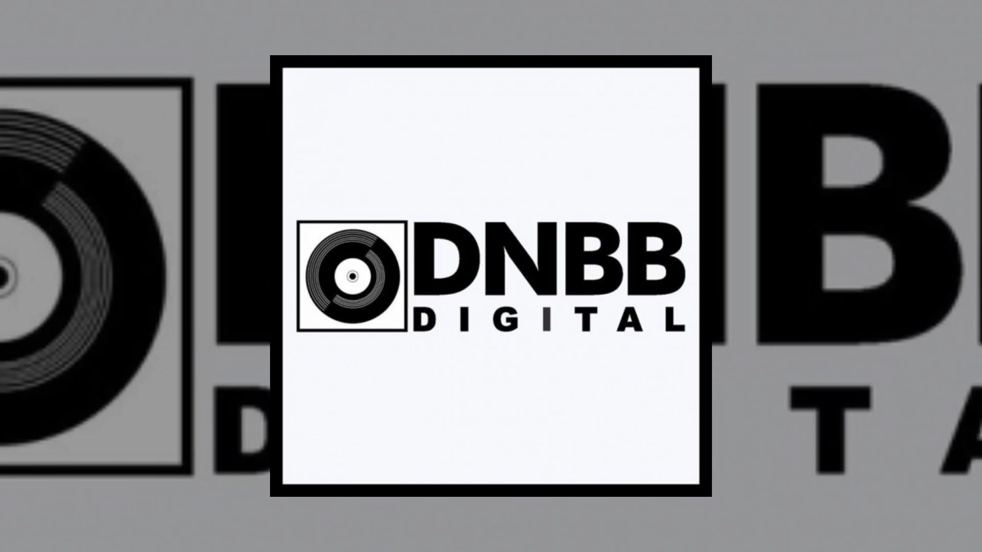 Dnbb Records Demo Submission | Contacts, A&R & Label Guide