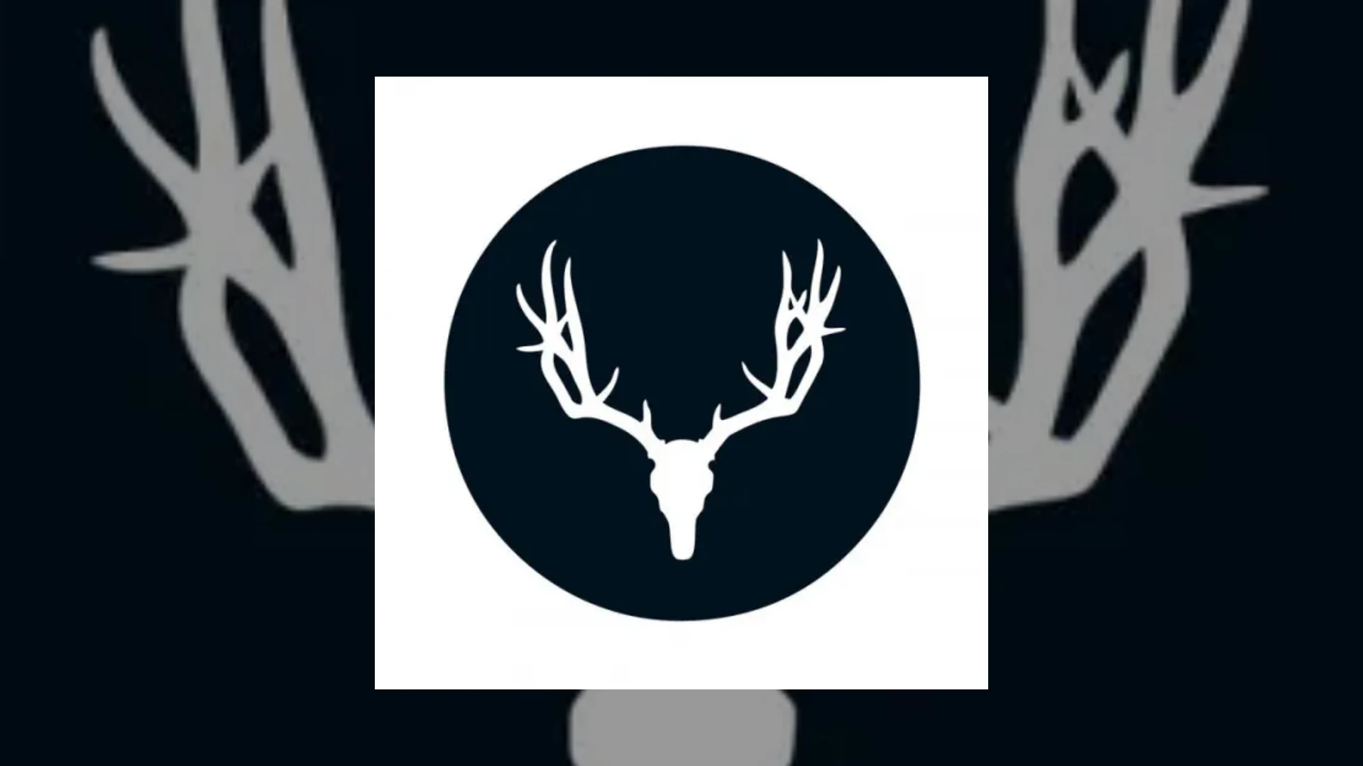 cervidae recordings