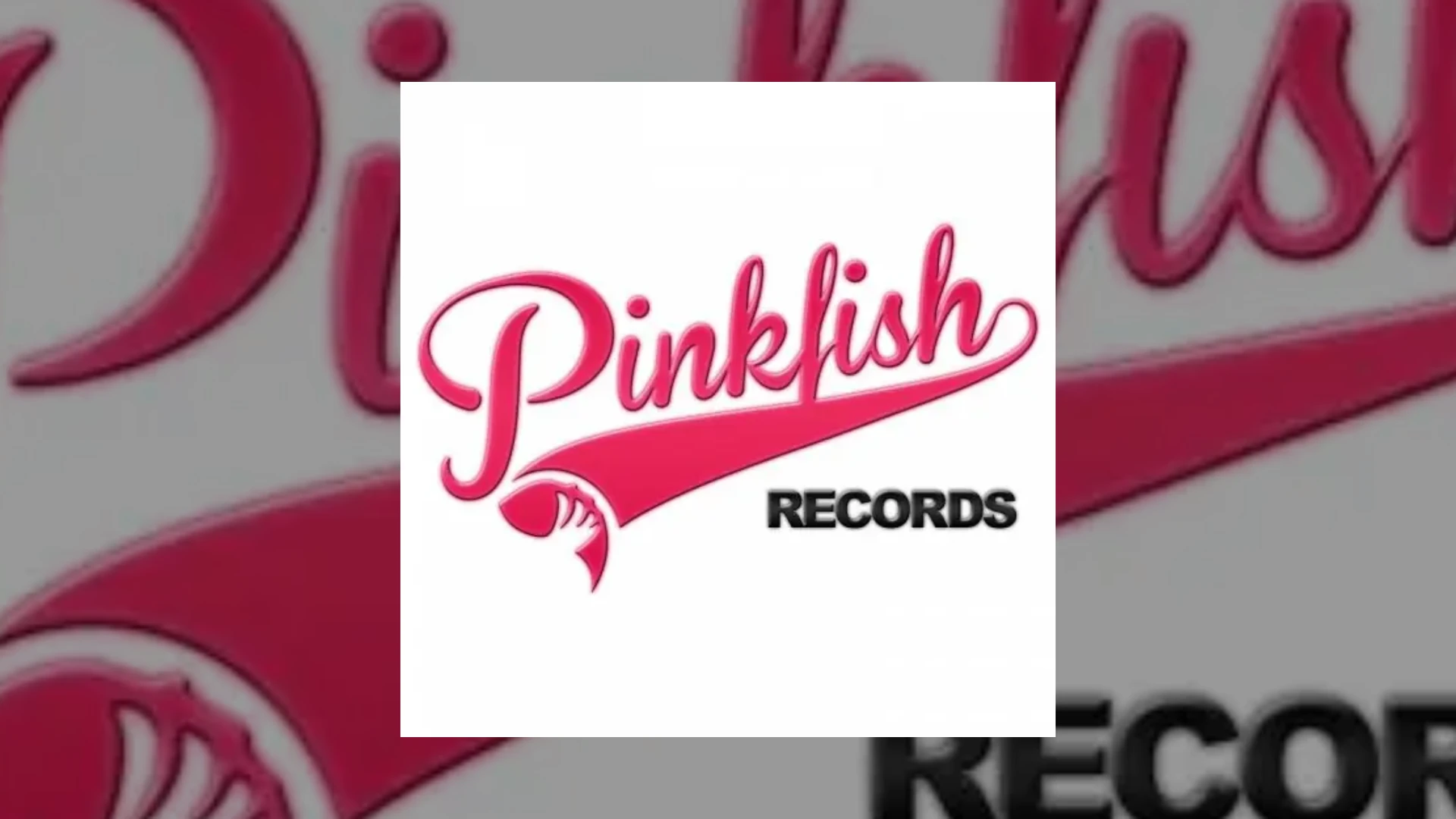 Pink Fish Records Demo Submission | Contacts, A&R & Label Guide
