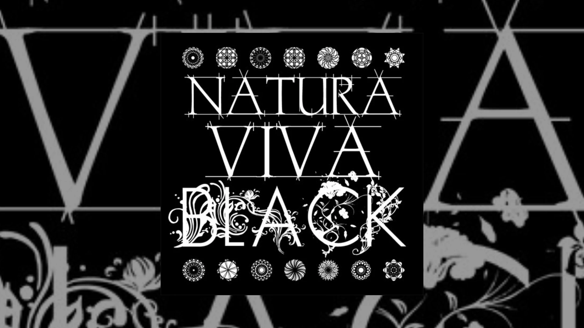 Natura Viva Black Demo Submission | Contacts, A&R & Label Guide