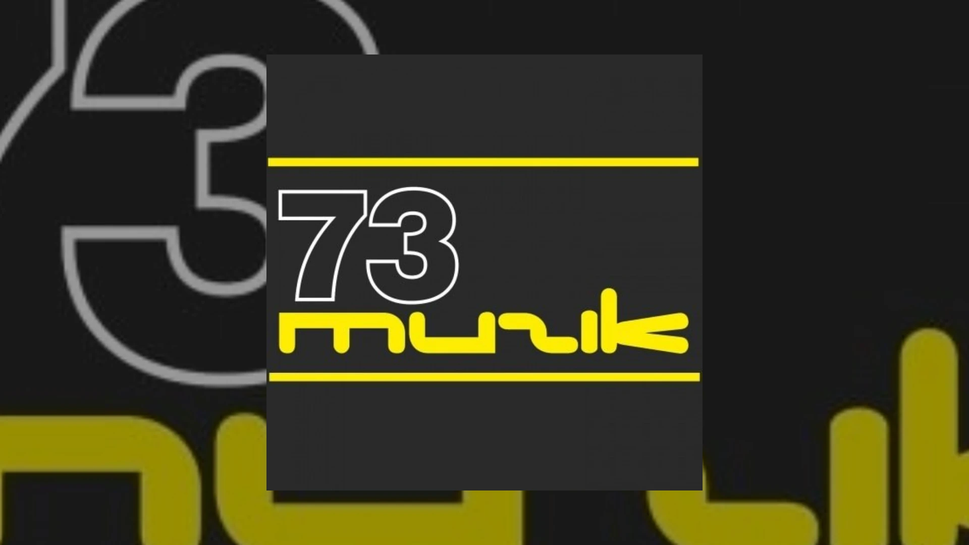73 Muzik Demo Submission | Contacts, A&R & Label Guide