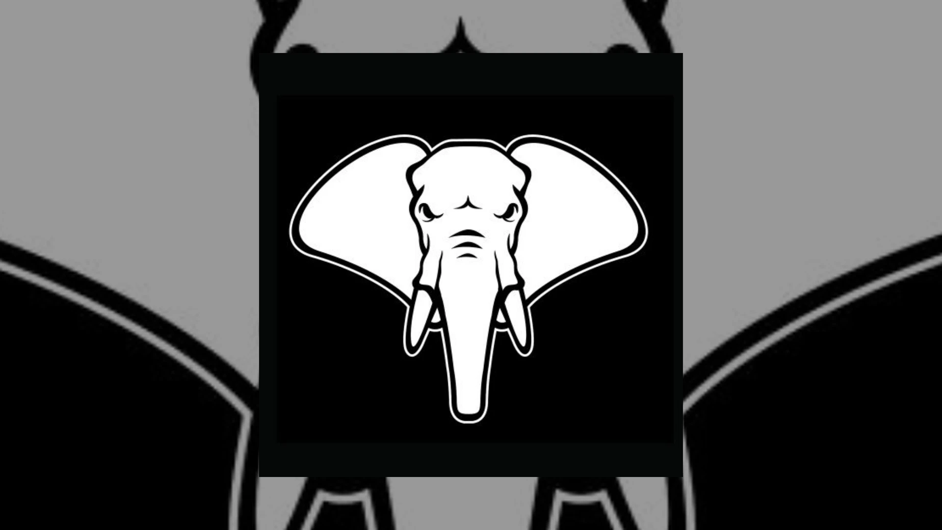 young elephants