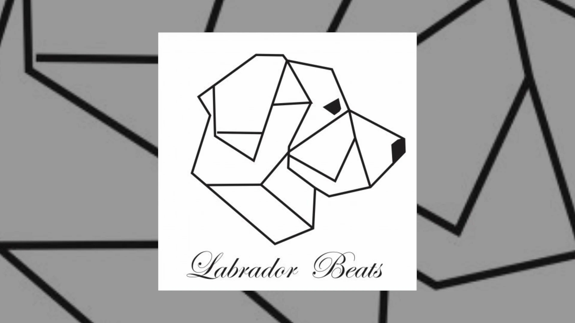 labrador beats
