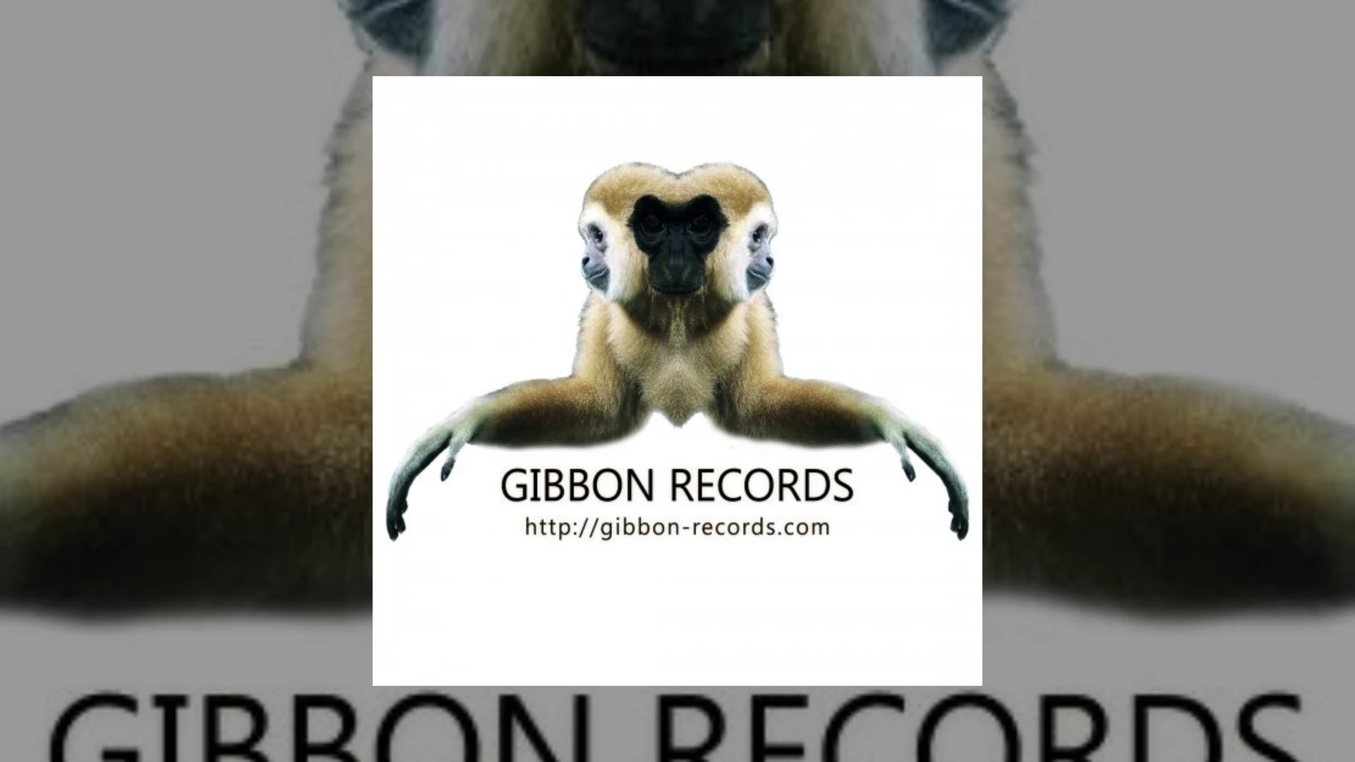 Gibbon Records Demo Submission | Contacts, A&R & Label Guide