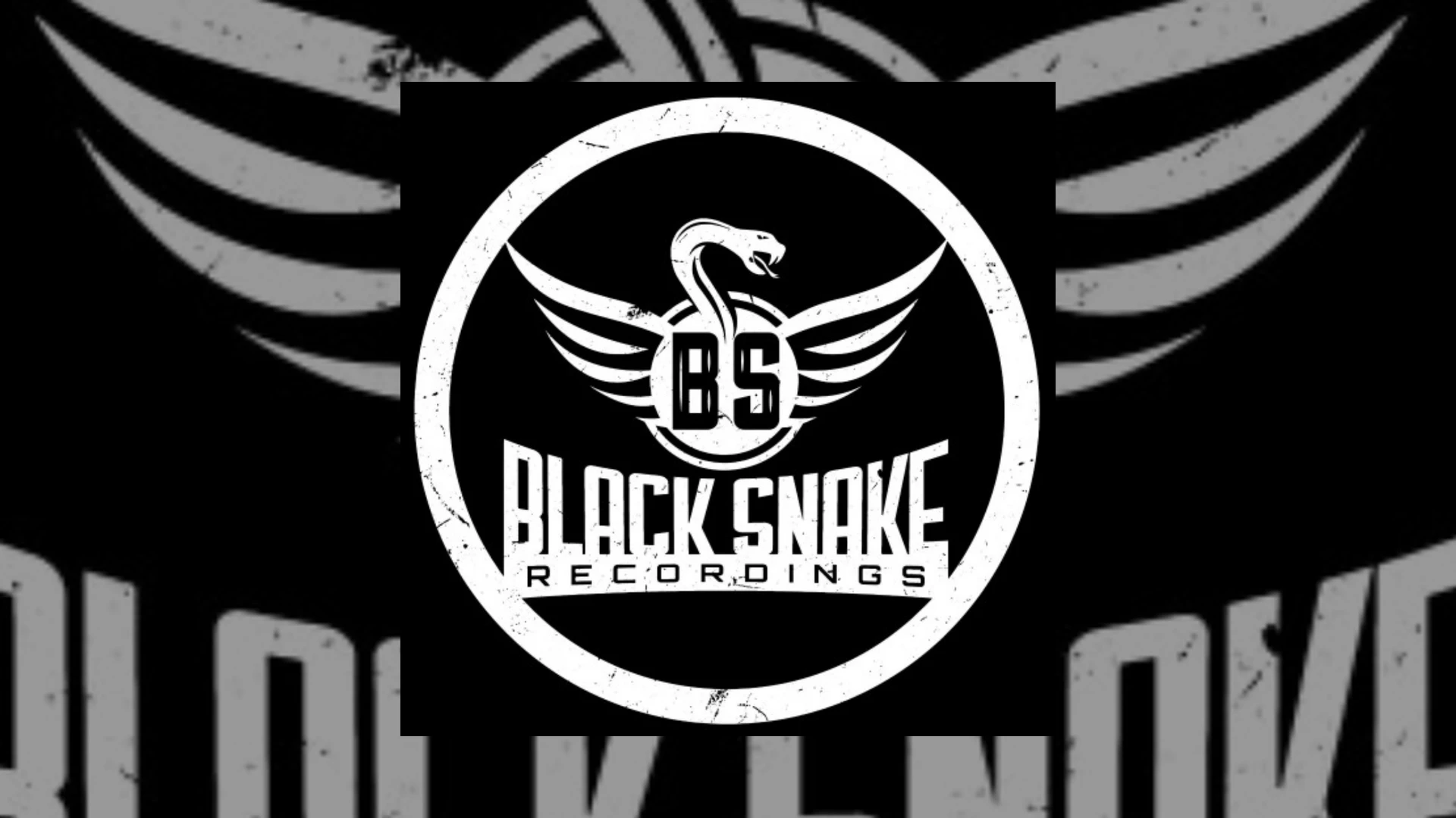 Black Snake Recordings Demo Submission | Contacts, A&R & Label Guide