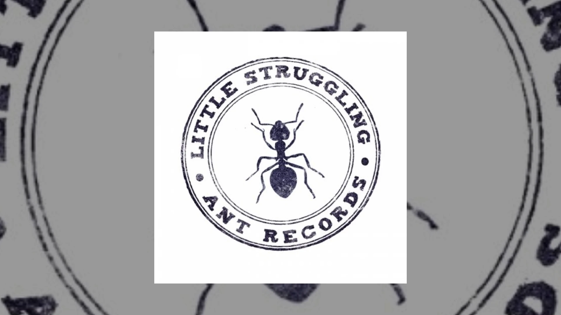 little struggling ant records